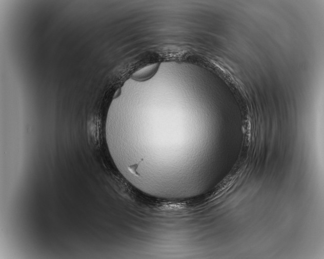 X0000096190283200802081526