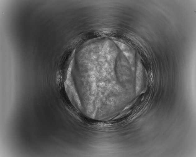 X0000096190284200802081526