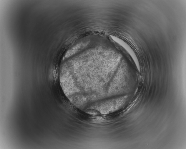 X0000096190285200802081526