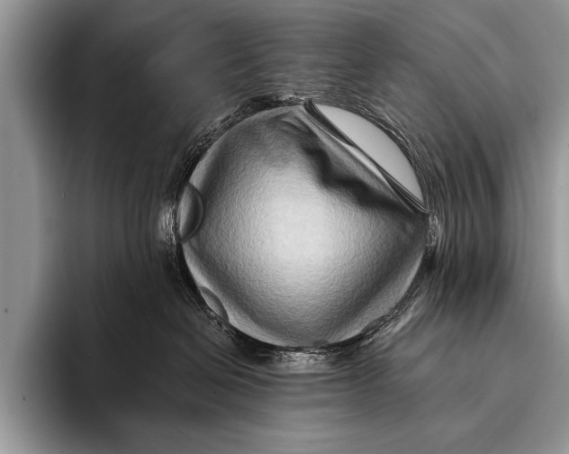 X0000096190286200802081526