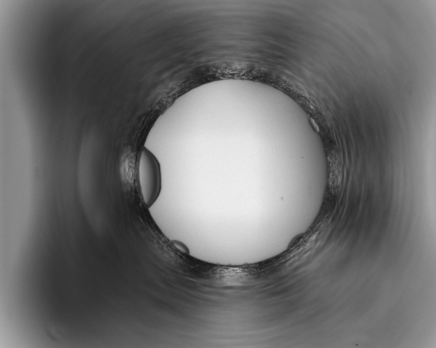 X0000096190287200802081526