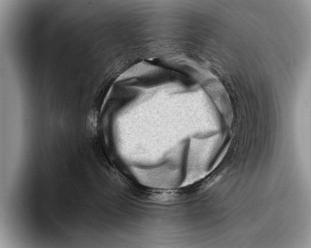 X0000096190288200802081526