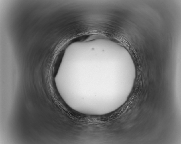 X0000096190289200802081525