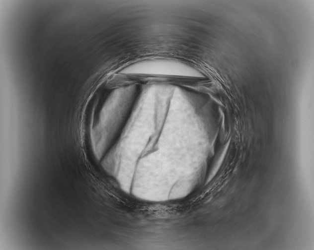 X0000096190290200802081525