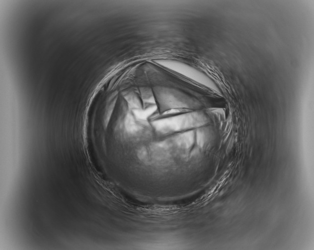 X0000096190292200802081525