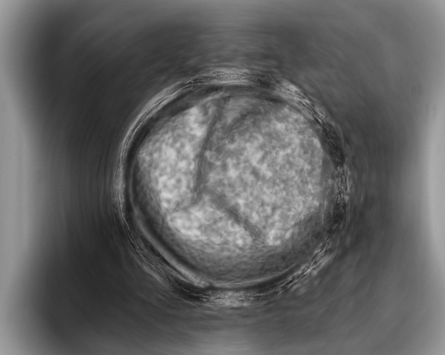 X0000096190293200802081525