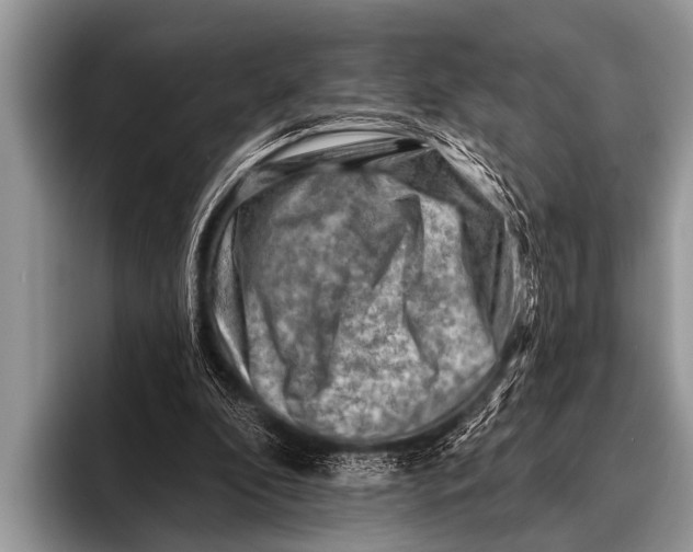 X0000096190296200802081525