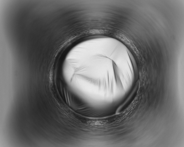 X0000096190297200802081525