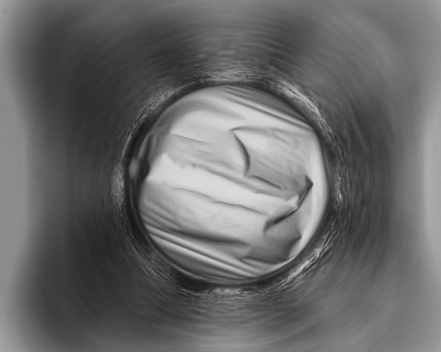 X0000096190298200802081525