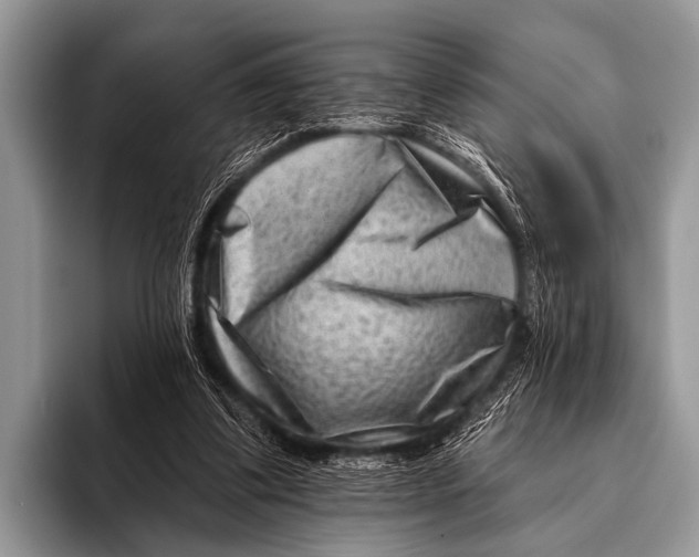 X0000096190299200802081525