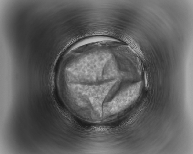 X0000096190300200802081525