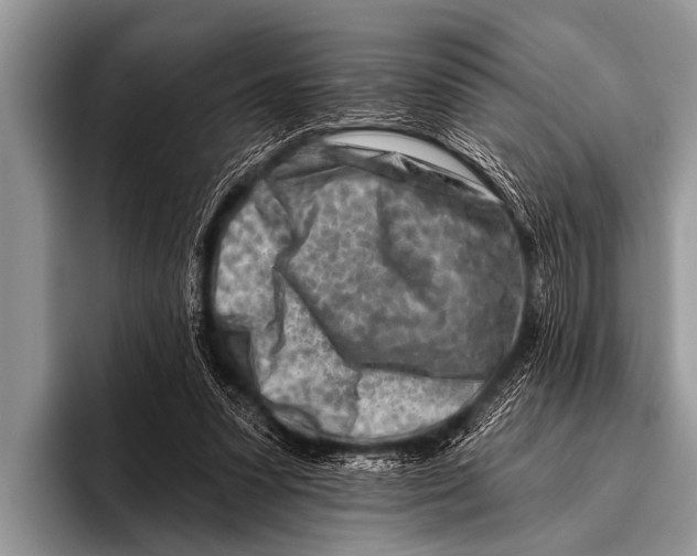 X0000096190303200802081525