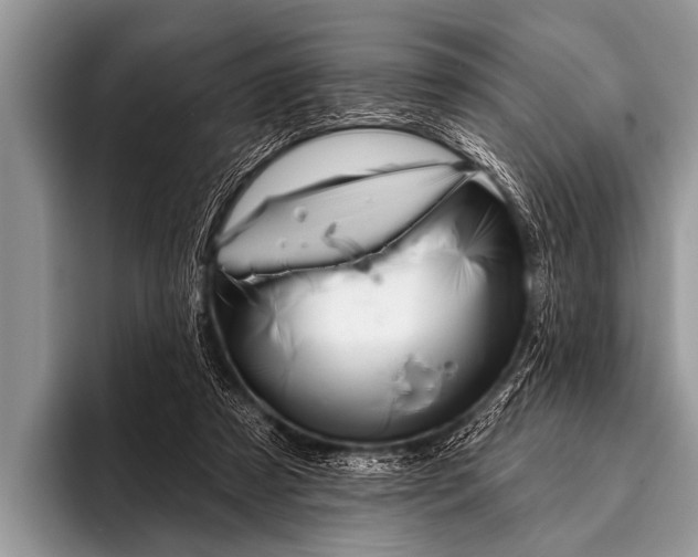 X0000096190305200802081525