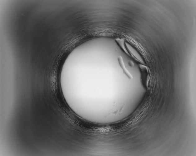 X0000096190306200802081525