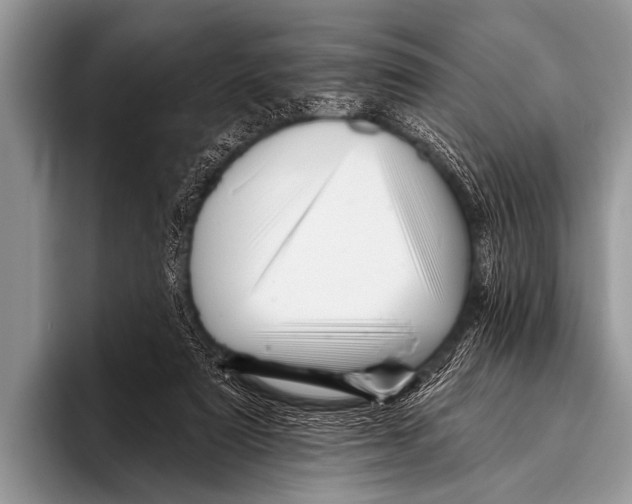 X0000096190307200802081525