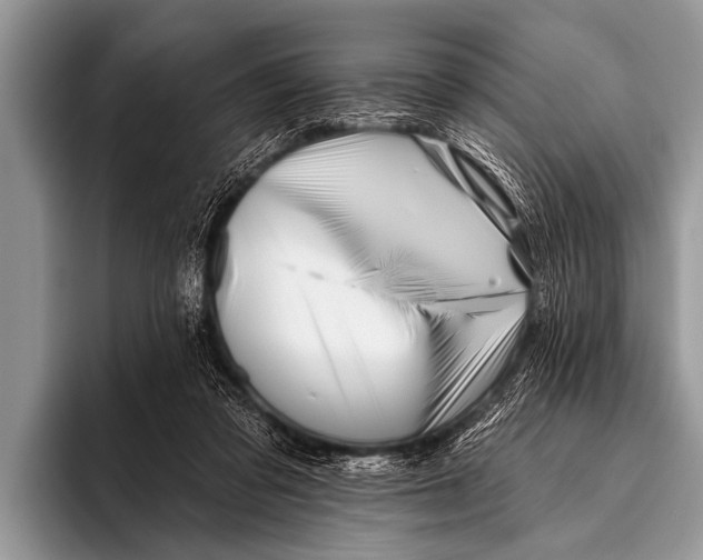 X0000096190309200802081525