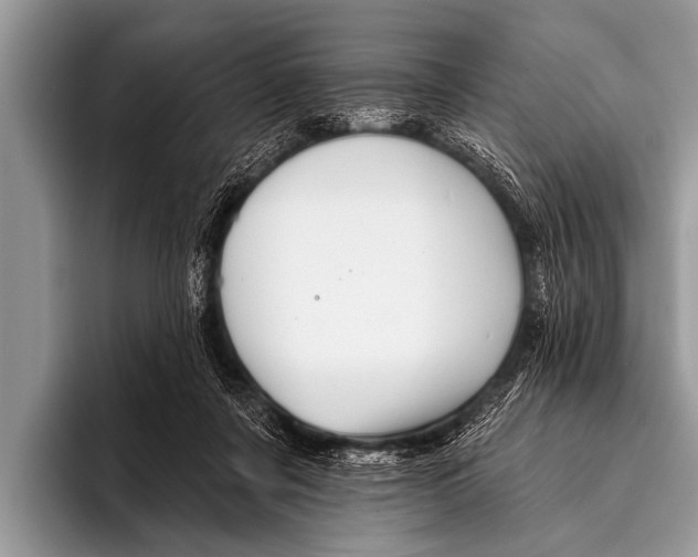 X0000096190311200802081525