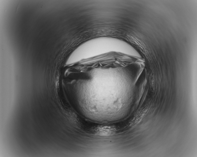 X0000096190315200802081525