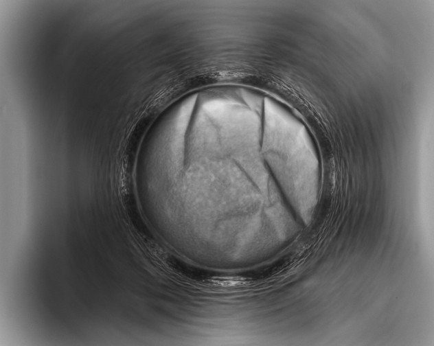 X0000096190316200802081525