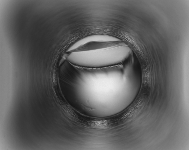 X0000096190317200802081525