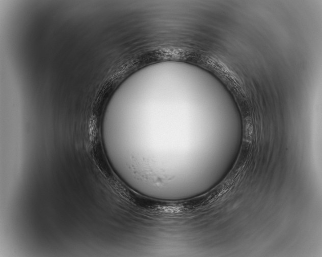 X0000096190318200802081525