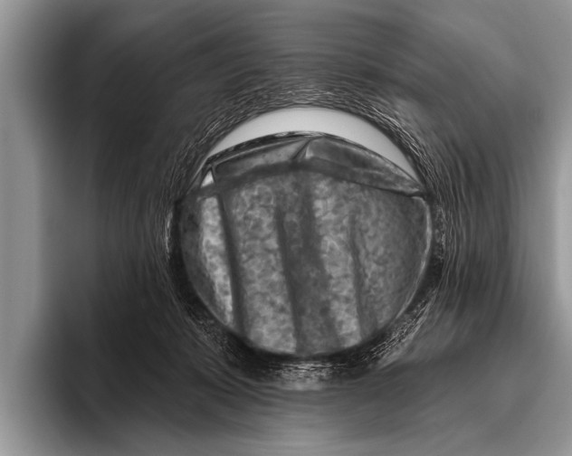 X0000096190319200802081525