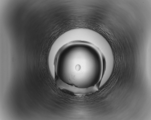 X0000096190320200802081525