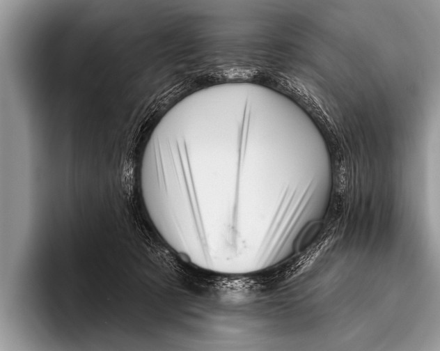 X0000096190321200802081525