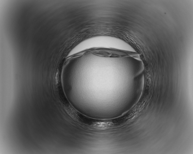 X0000096190323200802081525