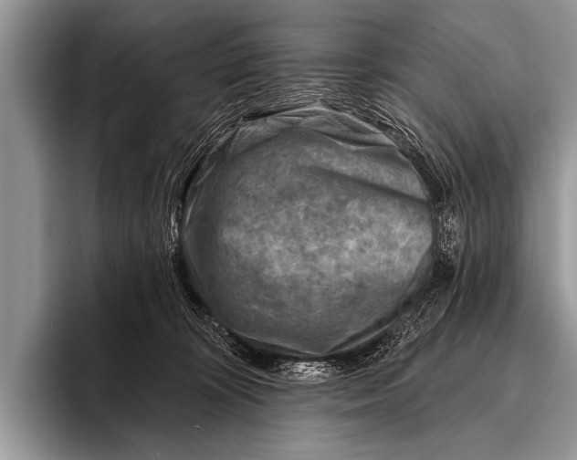 X0000096190324200802081525