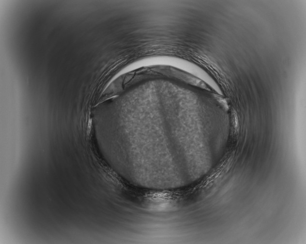 X0000096190325200802081525