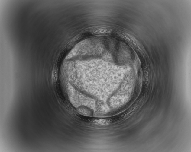 X0000096190326200802081525