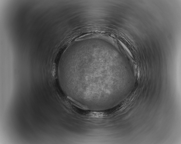 X0000096190328200802081525