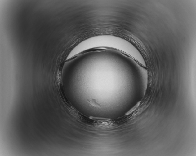 X0000096190329200802081525