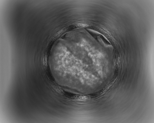 X0000096190330200802081525