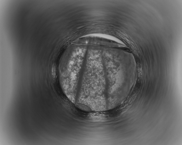 X0000096190331200802081525