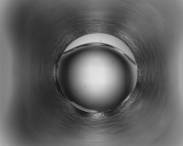 X0000096190333200802081525