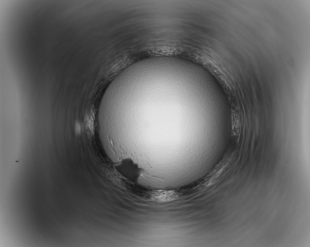 X0000096190334200802081525