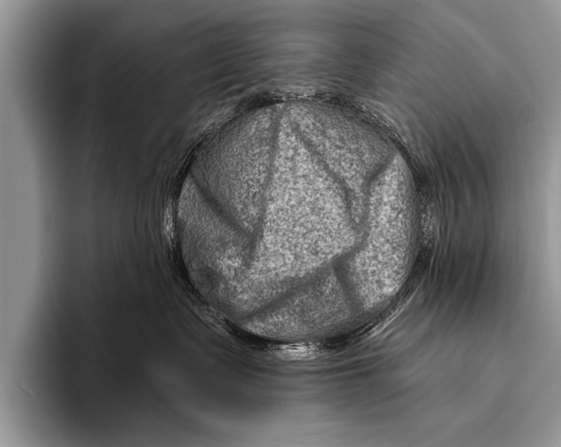 X0000096190335200802081525