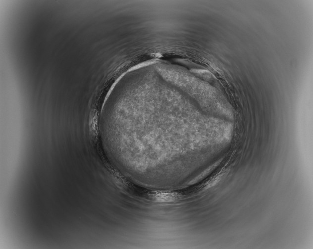 X0000096190336200802081525