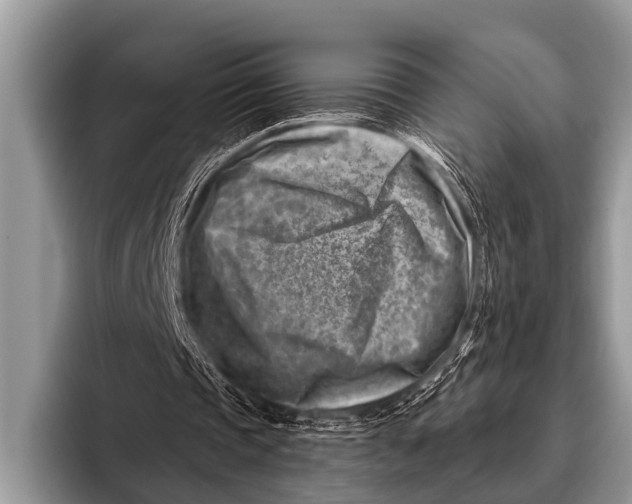 X0000096190337200802081524