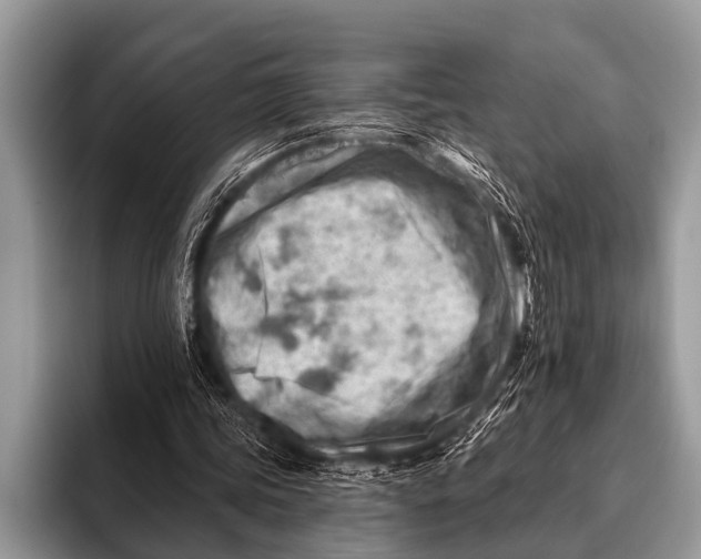 X0000096190339200802081524