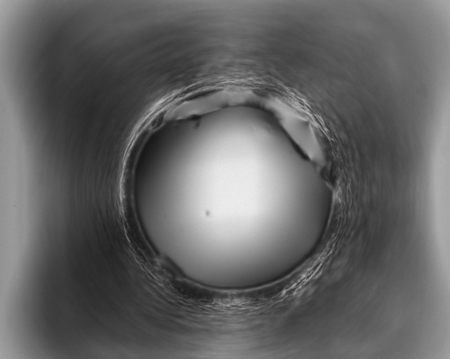 X0000096190340200802081524