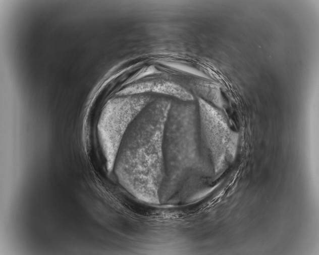 X0000096190343200802081524