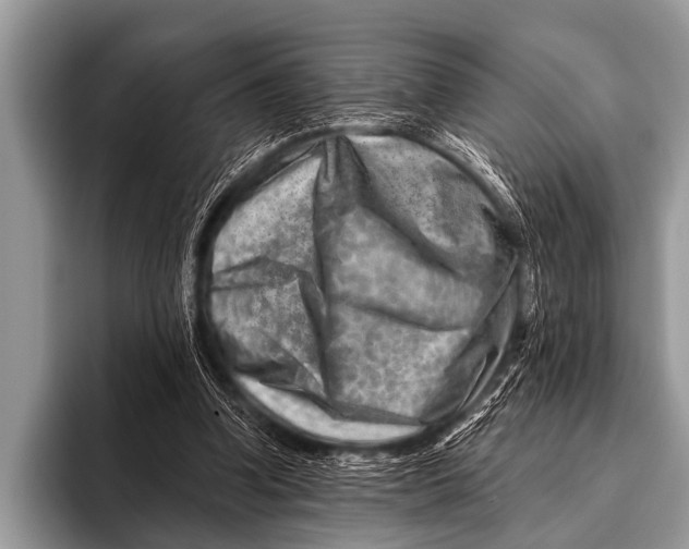 X0000096190346200802081524