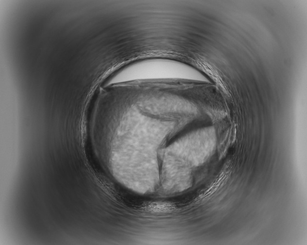 X0000096190348200802081524