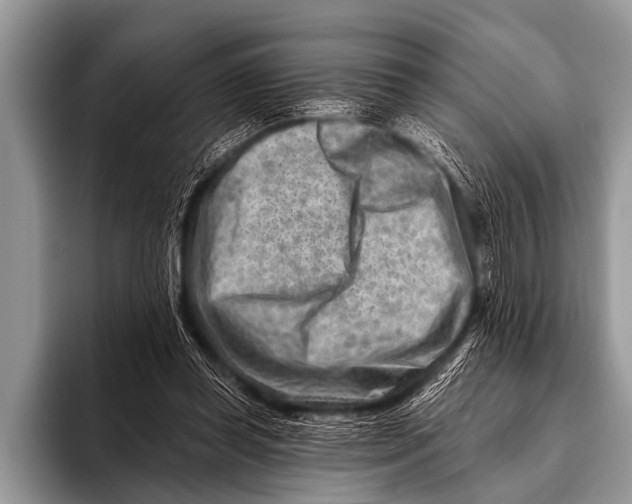 X0000096190349200802081524