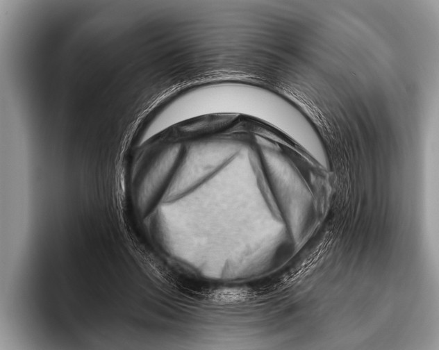 X0000096190350200802081524