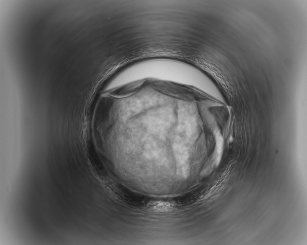 X0000096190352200802081524