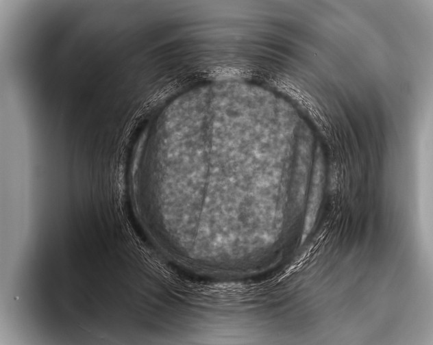 X0000096190353200802081524